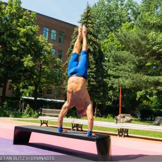 Gymnasts - Manuel Skye & Tan Blitz