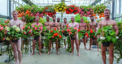 Twelve Naked Guys in a Greenhouse with Flowering Plants