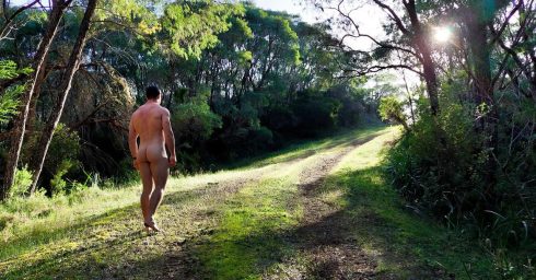 Rearview Naked Hiker in the Woods