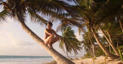 Naked Young Guy on a Coconut Palm at the Beach