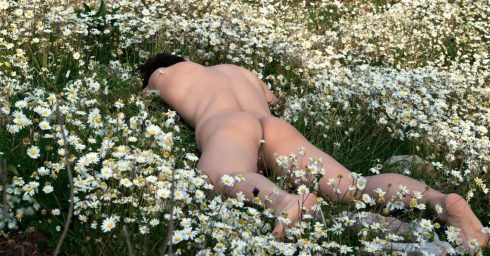 Rearview Naked Guy in a Field of Daisies