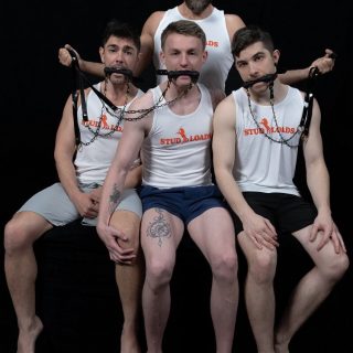 Stud Loads, Vol. 4: Stable Master