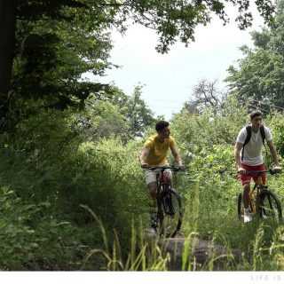 Lorenzo Ricci, Harry Coleman & Ennio Leone