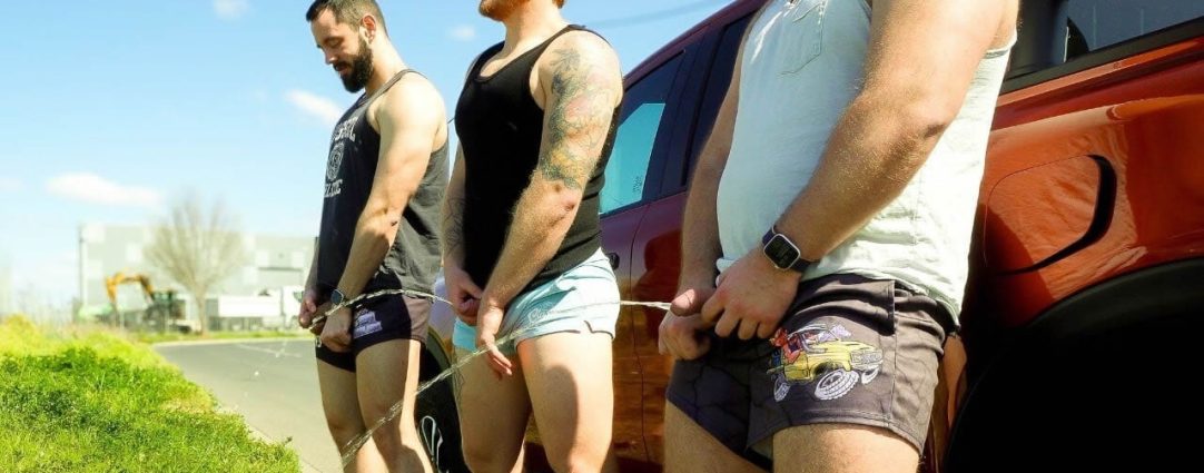 Three Guys Pissing at the Side of a Road