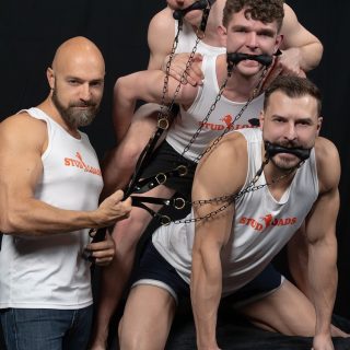 Stud Loads, Vol.10: Mare Assessment