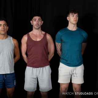 Stud Loads, Vol. 11: Mare Assessment