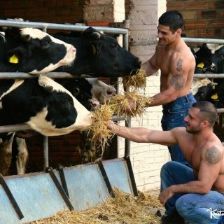 Pride 2, Remastered, Scene 2: Pedro Andreas, Daniel Marvin, Dennis D'Nello & John Cemax