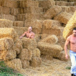 Pride 2, Remastered, Scene 2: Pedro Andreas, Daniel Marvin, Dennis D'Nello & John Cemax